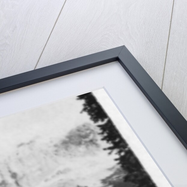 Emerald Lake near Field, British Columbia, Canada by Anonymous