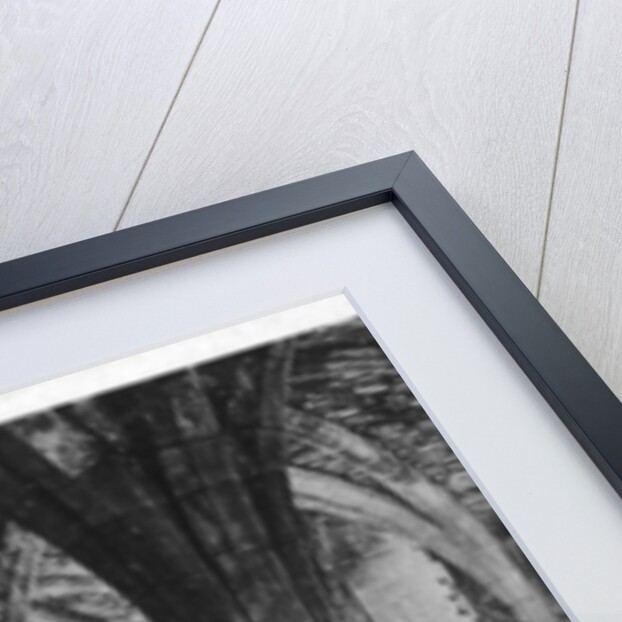 The Cellarium, Fountains Abbey, Yorkshire by Anonymous
