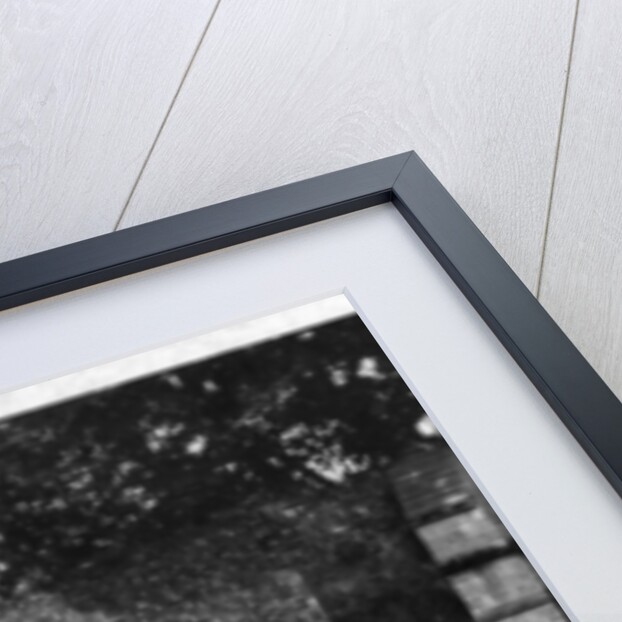 Abbot's Bridge, Bury St Edmunds, Suffolk by Anonymous