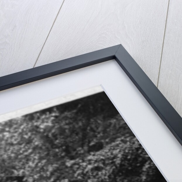 Guy's Mill, Warwick by Anonymous