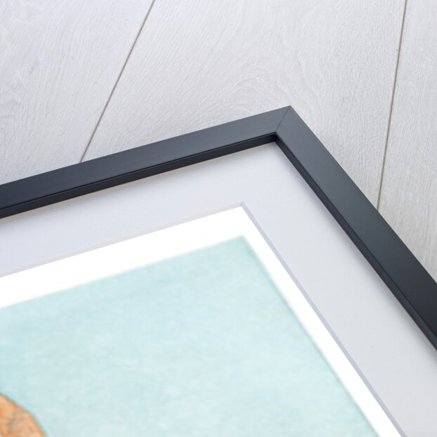 Obelisk at Heliopolis, Egypt by W Dickens