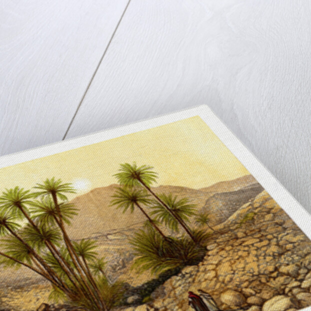 The Desert of Sinai, Egypt by W Dickens