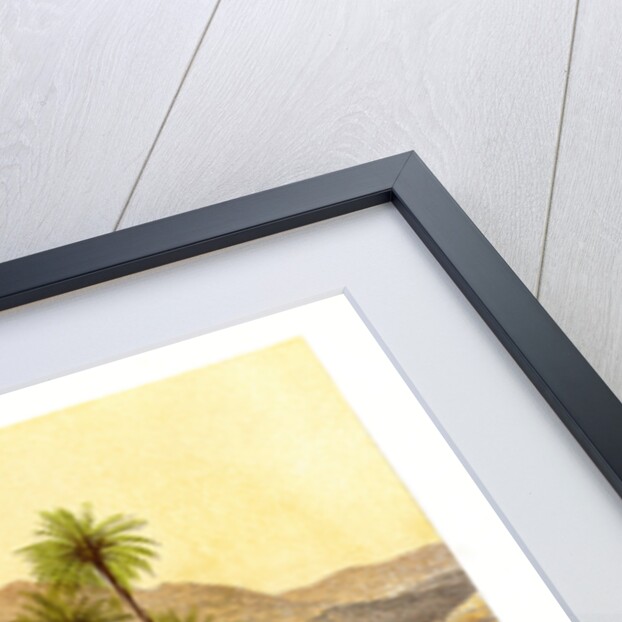 The Desert of Sinai, Egypt by W Dickens