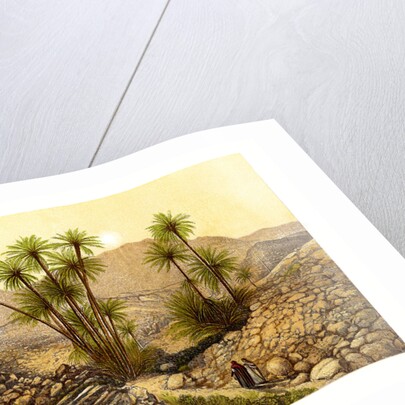 The Desert of Sinai, Egypt by W Dickens