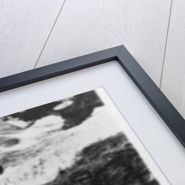 Lake of the Hanging Glaciers, Canada by Anonymous