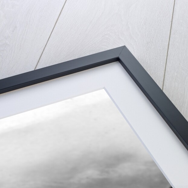 Kaslo, British Columbia, Canada by Anonymous