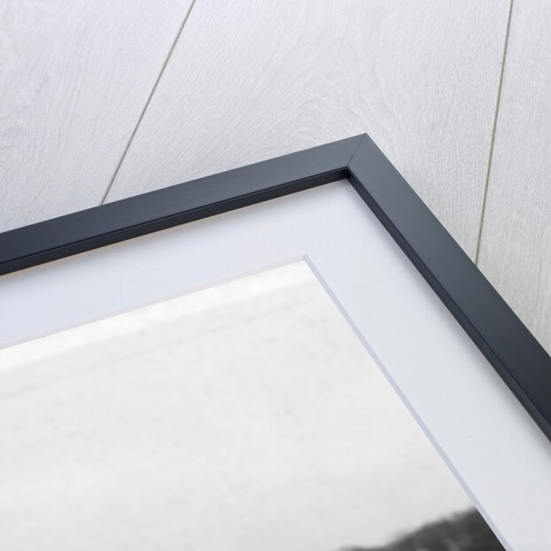 Quebec from Levis, Canada by Anonymous