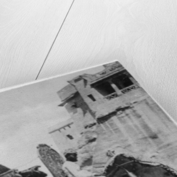 Government elephant in state costume, South India by Anonymous