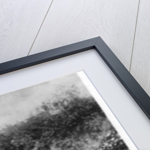 Elephanta Caves, Bombay, India by Anonymous