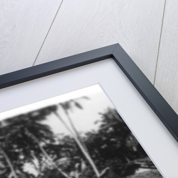 Buddhist Temple, Ceylon by Anonymous