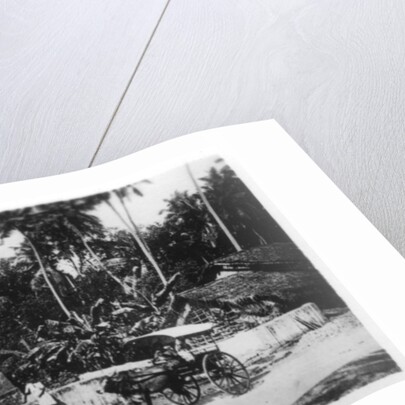 Buddhist Temple, Ceylon by Anonymous