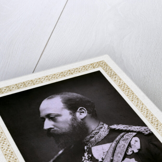 The Prince of Wales by Alexander Bassano