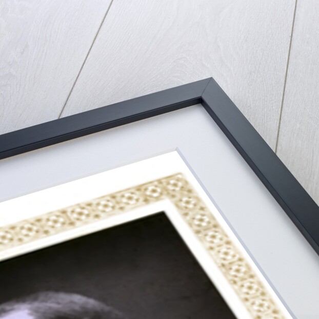 The Prince of Wales by Alexander Bassano