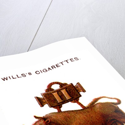 Taurus, The Bull by Anonymous