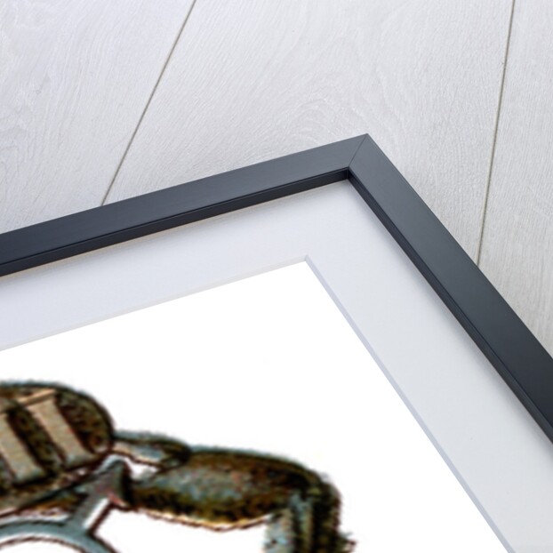 Scorpio, The Scorpion by Anonymous