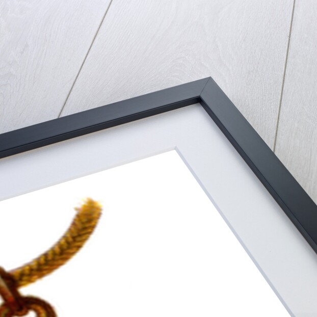 The Abracadabra by Anonymous