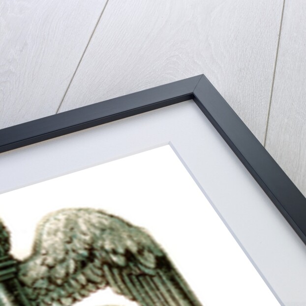 The Caduceus by Anonymous