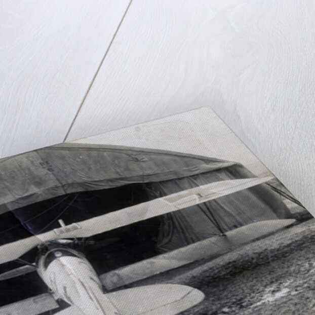 German Albatros DV, Souilly, France by Anonymous