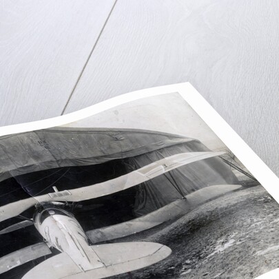 German Albatros DV, Souilly, France by Anonymous