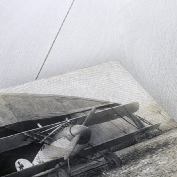 German Albatros DV, Souilly, France by Anonymous