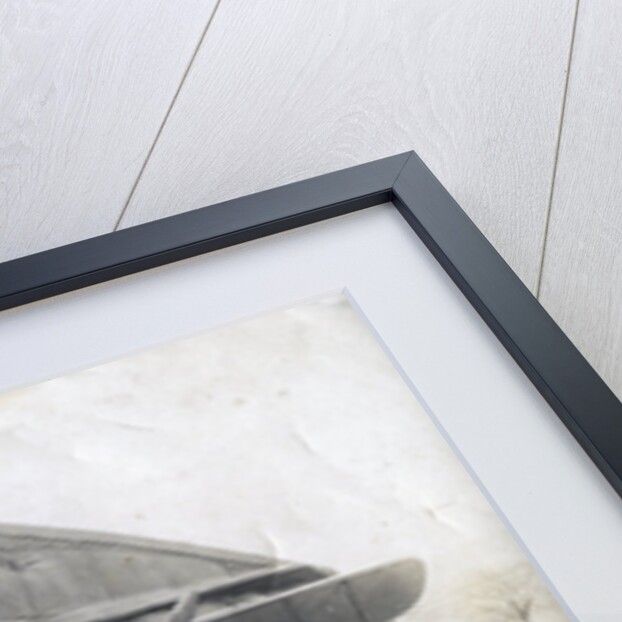 German Albatros DV, Souilly, France by Anonymous