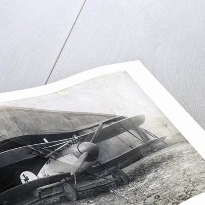 German Albatros DV, Souilly, France by Anonymous