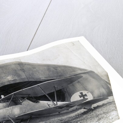 German Albatros DV, Souilly, France by Anonymous