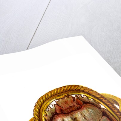 The Scarab by Anonymous