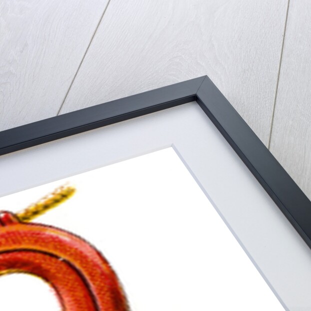 The Buckle of Isis by Anonymous