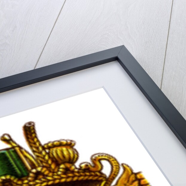 The Cornucopia by Anonymous