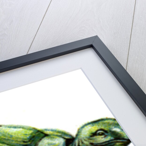 The Tortoise by Anonymous