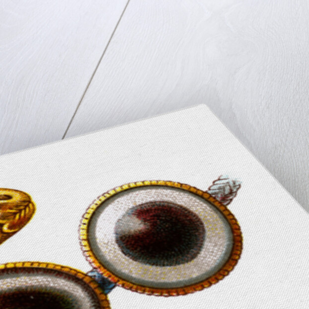 Eye-Agate by Anonymous