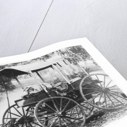 Drovers camp, Australia by Anonymous