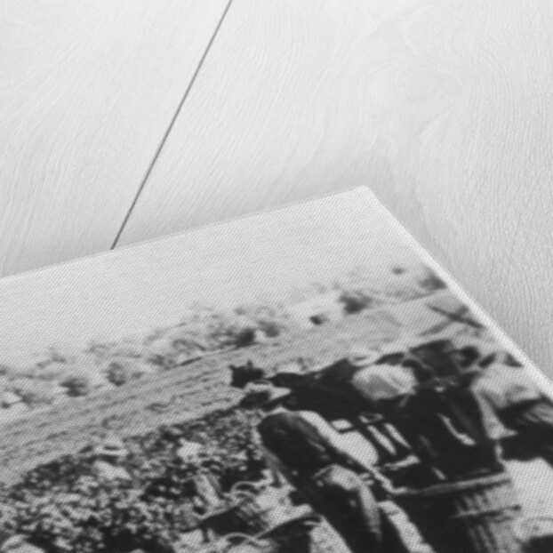 South Australian vineyard by Anonymous