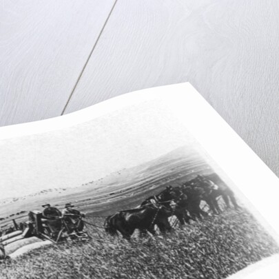 Harvesting wheat, Australia by Anonymous
