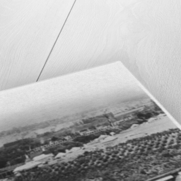 Hop fields and orchards, Tasmania, Australia by Anonymous