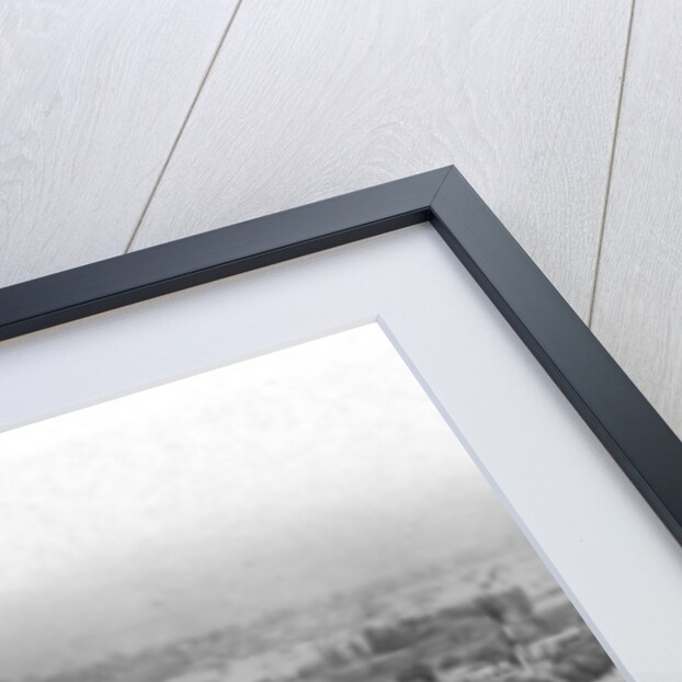 Hop fields and orchards, Tasmania, Australia by Anonymous