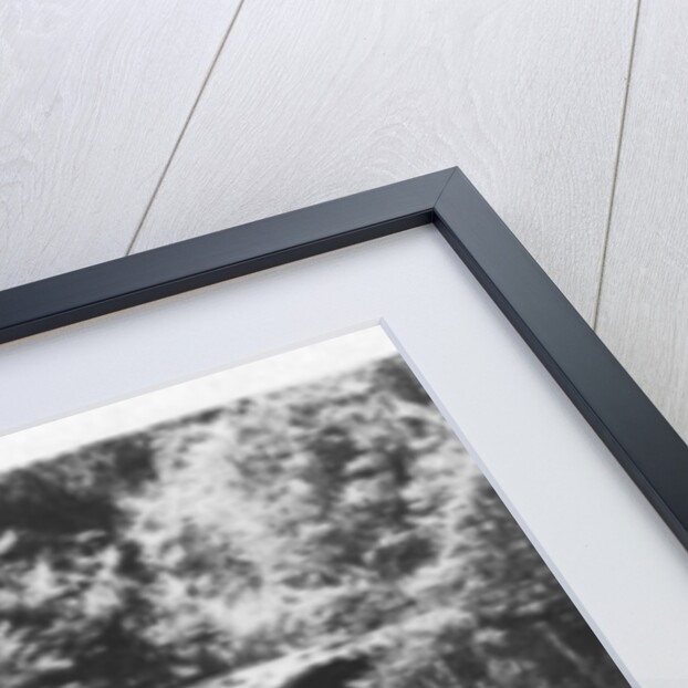 Leura Falls, Blue Mountains, Australia by Anonymous