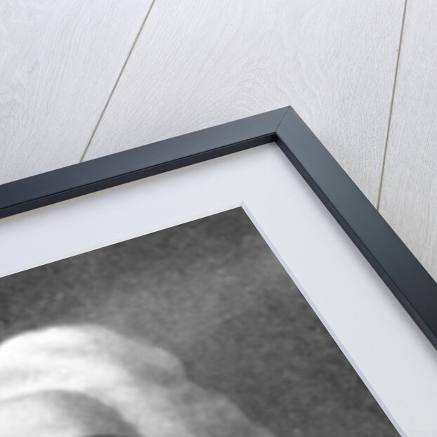 George Frideric Handel, (1685-1759), German Baroque composer by Anonymous