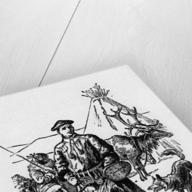 Carolus Linnaeus, 18th century Swedish botanist, physician and zoologist by Anonymous