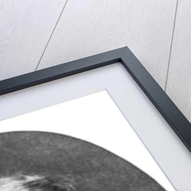 William Henry Fox Talbot (1800-1877), British photography pioneer by Blechinger