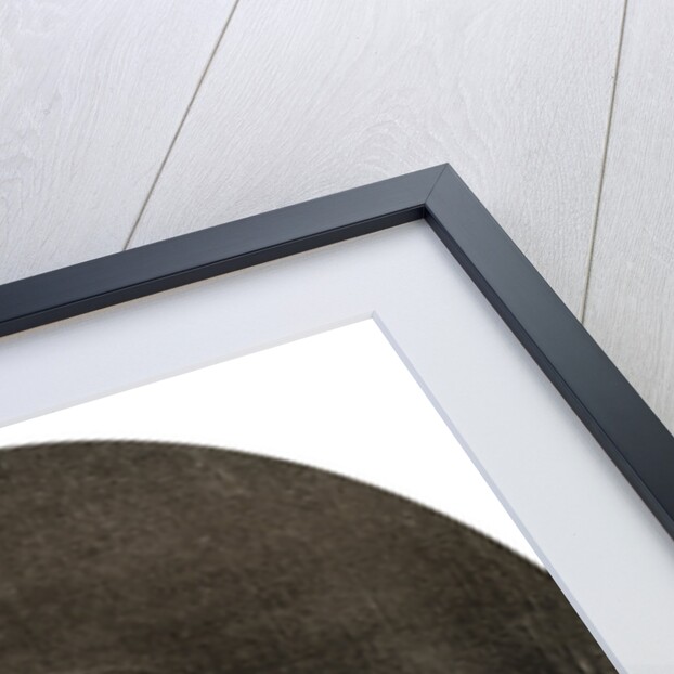 Sir William Waller, English soldier by Anonymous