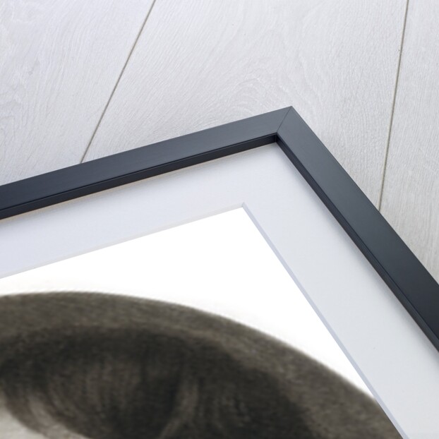 Algernon Sydney, English politician by Anonymous