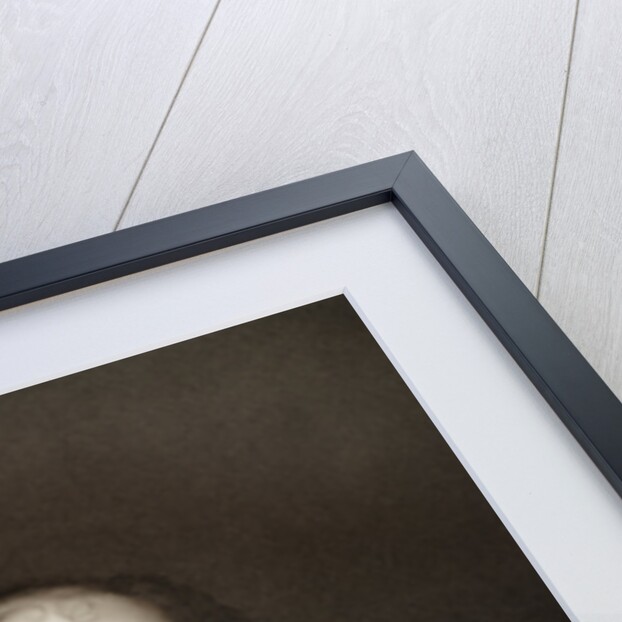 Bridget Fleetwood, eldest daughter of Oliver Cromwell by Anonymous