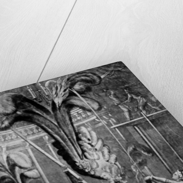 Hints to the ladies to take care of their heads by Anonymous