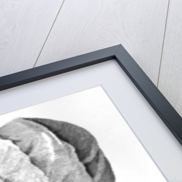 'Miss Calash' drawn by Miss Calash by Miss Calash