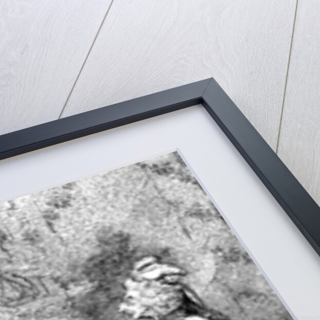 La Belle Assemblee by Anonymous