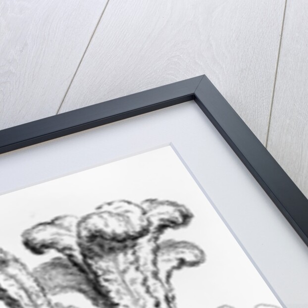 Characters in High Life... by Anonymous