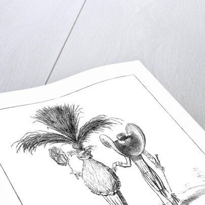 Parasols for 1795 by Anonymous