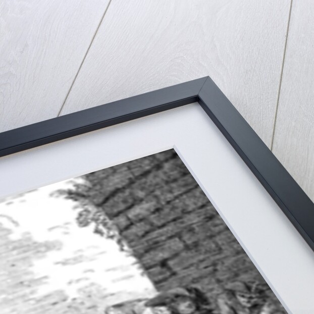 The Landing of Senesino by Anonymous